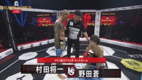 野田蒼VS村田将一の試合画像