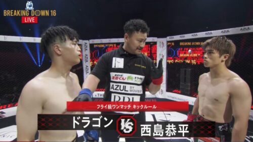 西島VSドラゴンの画像