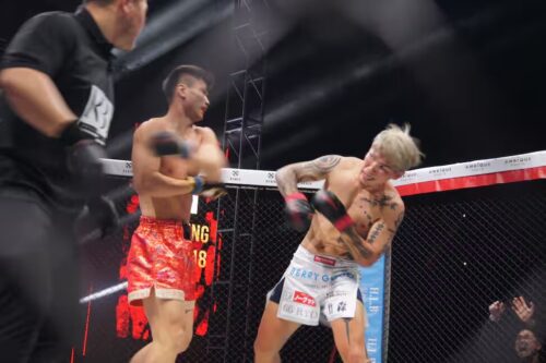 ジャー・シャンミン vs. シモミシュランの画像