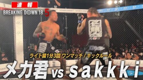 sakkki vs メカ君の画像