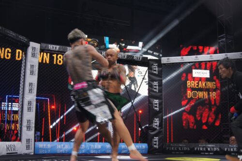 シェンロンVS内藤裕の画像