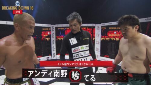 てるVSアンディ南野の試合