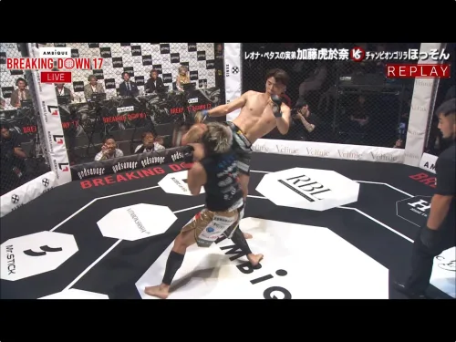 加藤虎於奈vsほっそんの画像