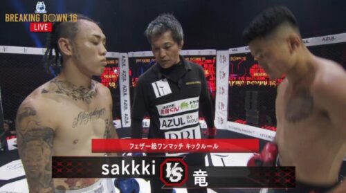 竜vssakkkiの画像