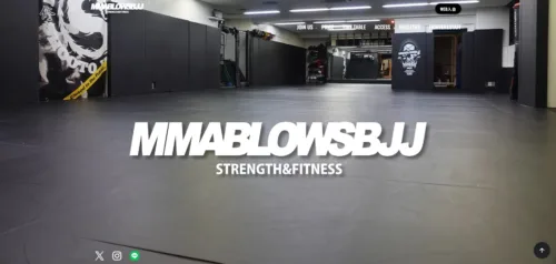 ブロウズの画像