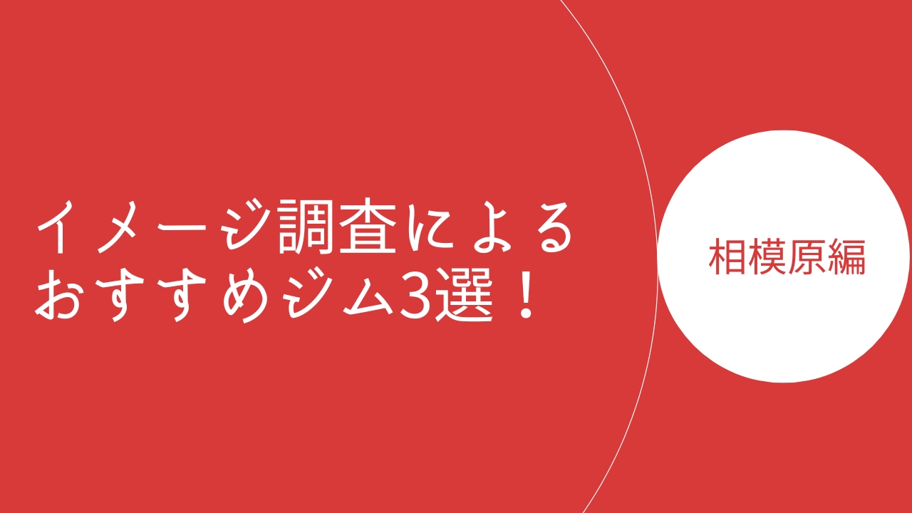 相模原イメージ調査キックボクシングのアイキャッチ