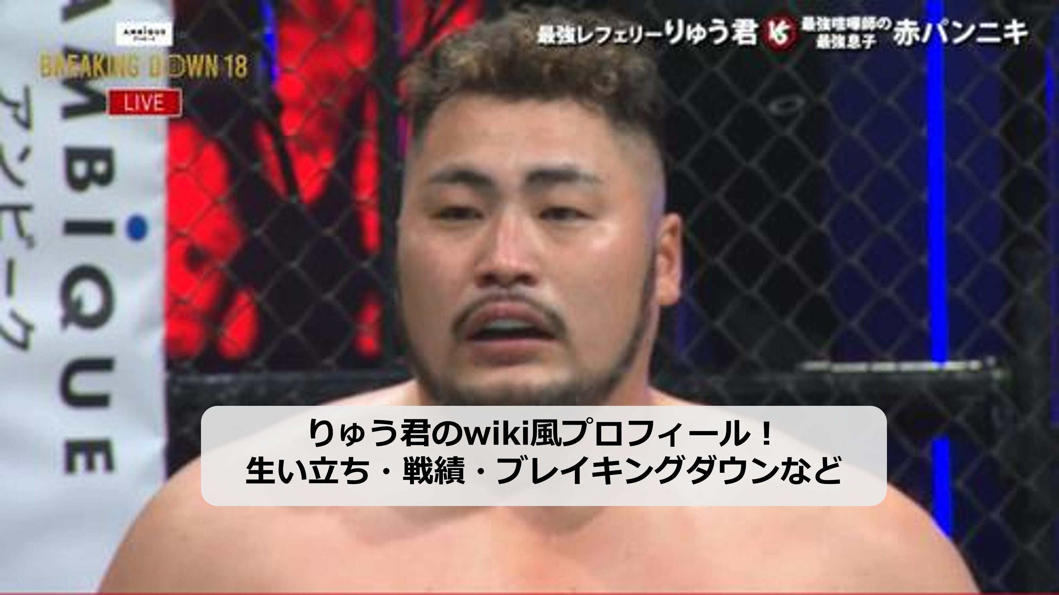 りゅう君のアイキャッチ画像